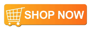The Boston Coin eBay Store
